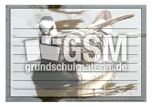 Schmuckrahmen-Nonnengans.pdf